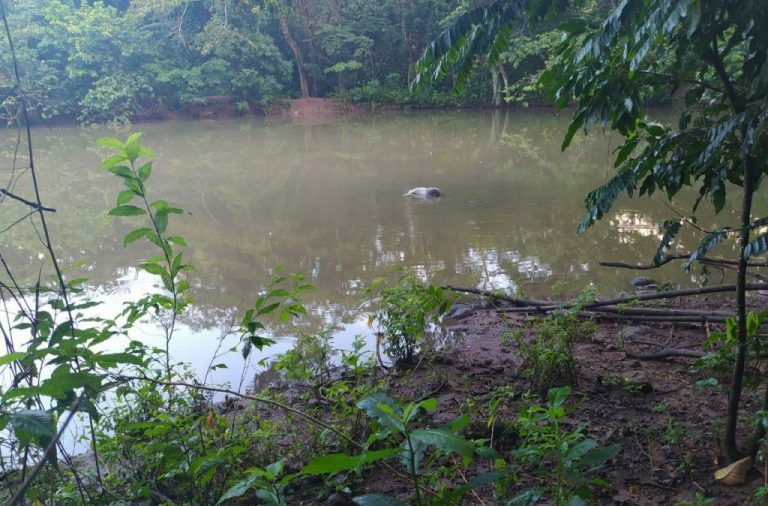 Encuentran cadáver de un hombre atado de piedras en una laguna de Hato Mayor