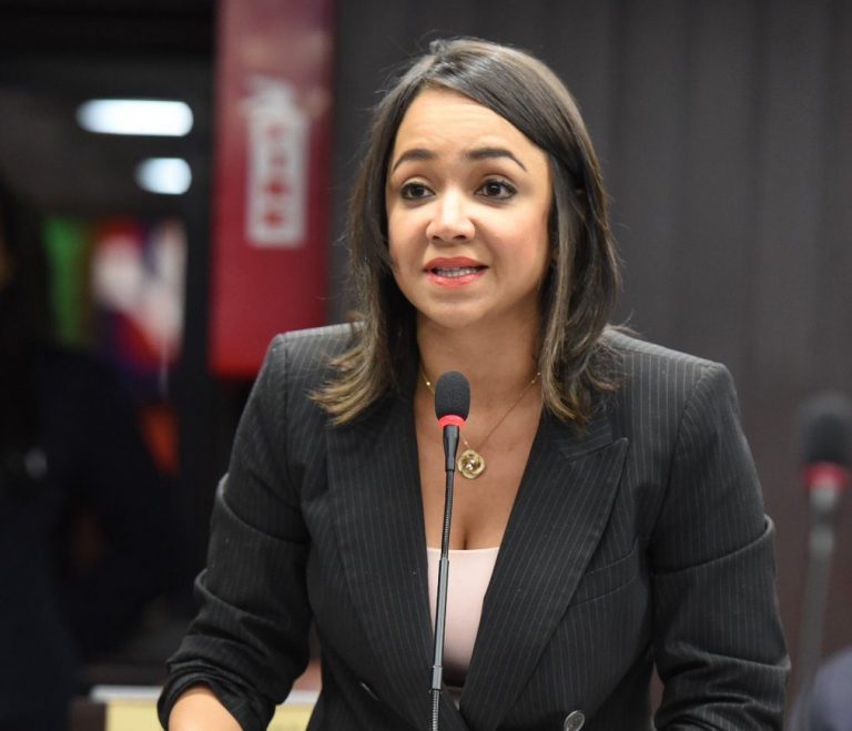 Faride Raful considera una “irresponsabilidad” aprobar Código Penal como lo envió la Cámara de Diputados