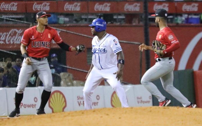 Leones-1080x675