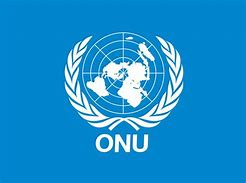 Funcion de la ONU