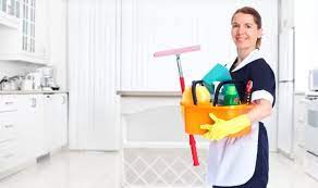 domestica
