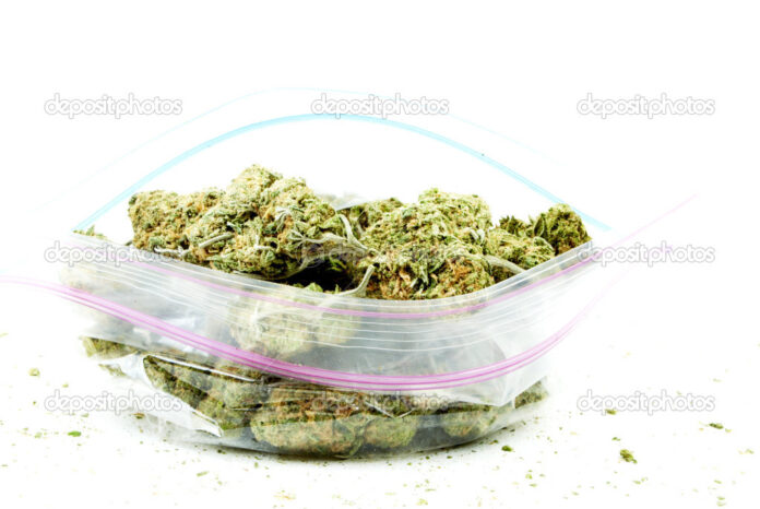 Marijuana and Cannabis, White Background