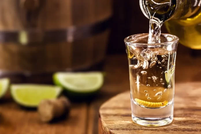 bebidas