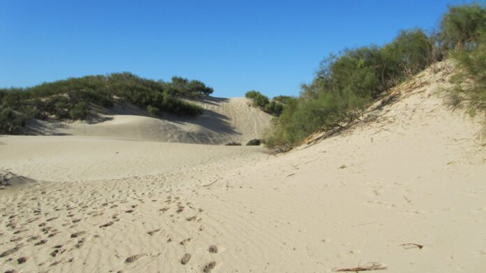 dunas