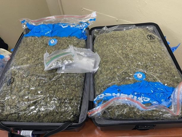 Aeropuerto del Cibao detienen joven cuando intentaba ingresar al país más de 30 libras de marihuana