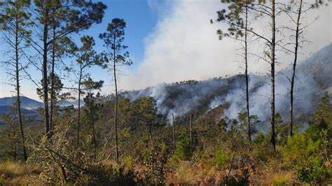 valle nuevo 1