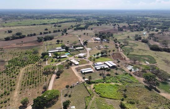 finca