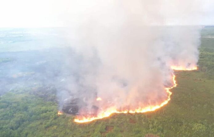 fuego terreno