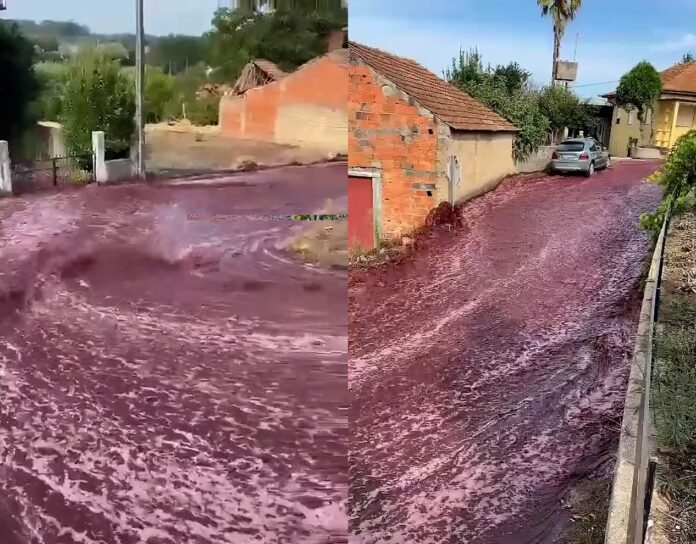 vino