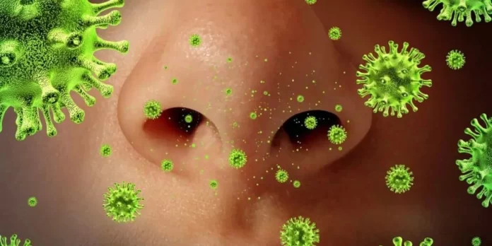 virus