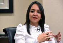 El palacio hace más cambios, Faride Raful la nueva ministra de Interior
