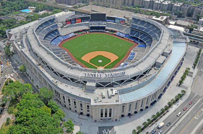 yankee