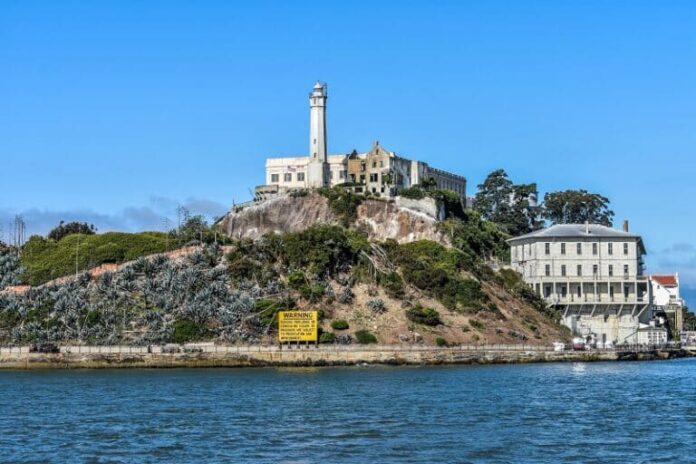 alcatras
