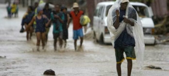 haiti m