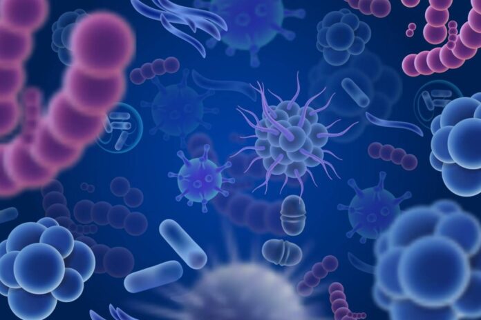 bacterias