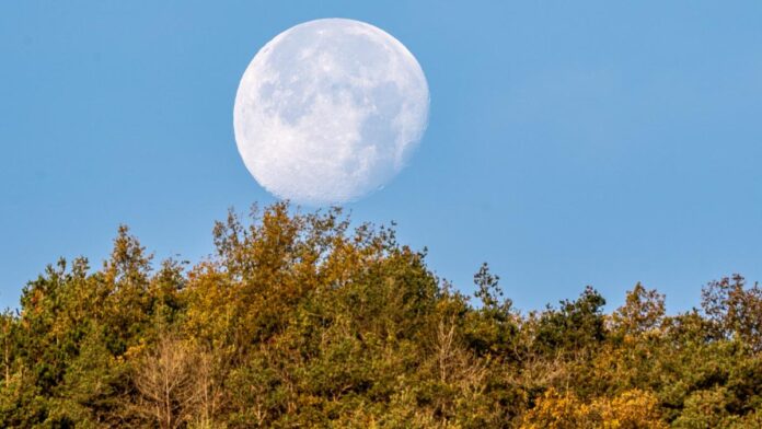 luna