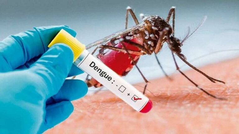 Dengue acumula 31 casos en República Dominicana en lo que va de año