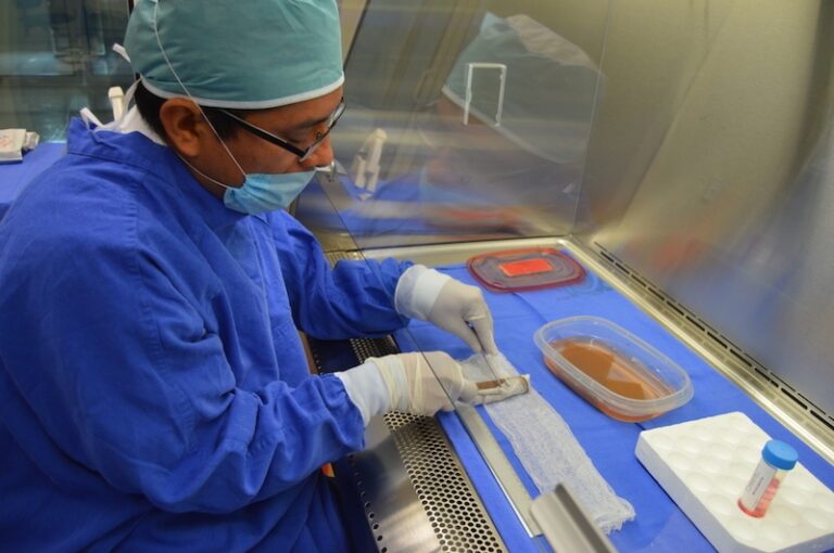 Autoridades de salud confirman instalación de banco de tejidos en el país