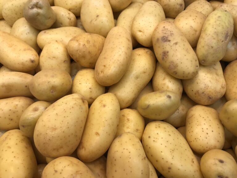 Autoridades anuncian compra completa de papas cultivadas en Tireo